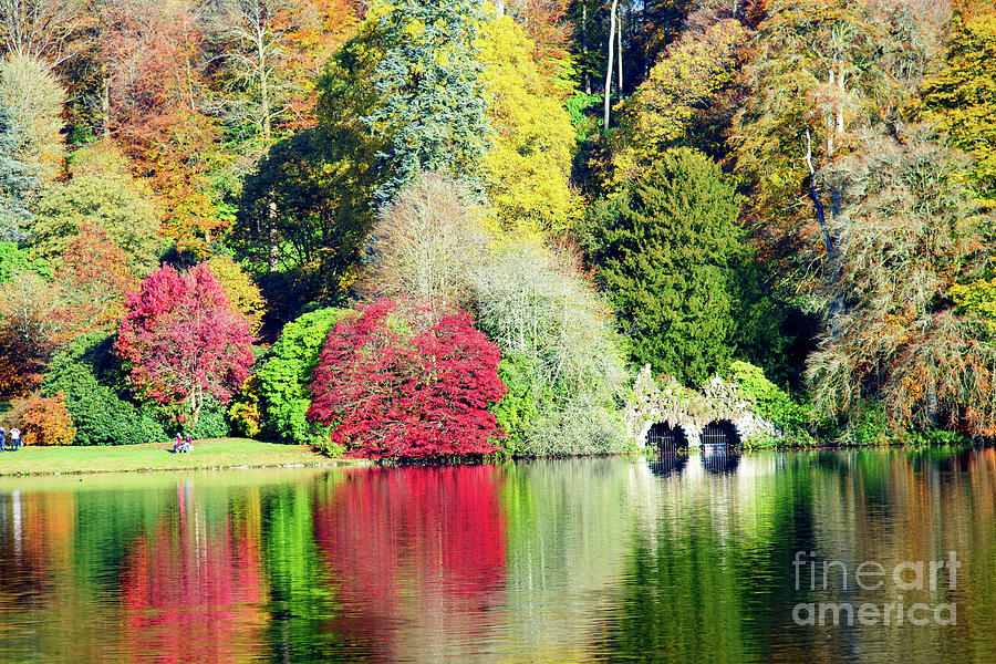 Autumn colours by the lake Photograph by Colin Rayner