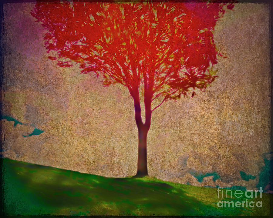 Autumn Colours Digital Art by Edmund Nagele FRPS