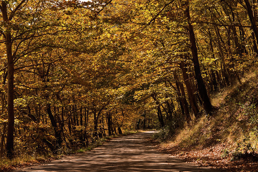 Landscape Photograph - Autumn Colours by Nikos Stavrakas Landscape Photograph - Autumn Colours by Nikos Stavrakas