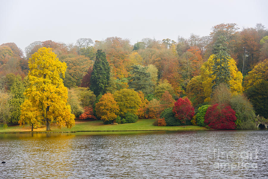 Autumn colous Photograph by Colin Rayner