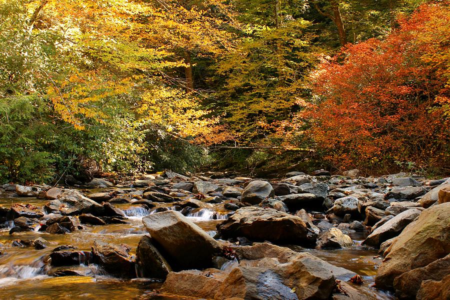 Autumn Comes To The Mountains Photograph by Carol Montoya