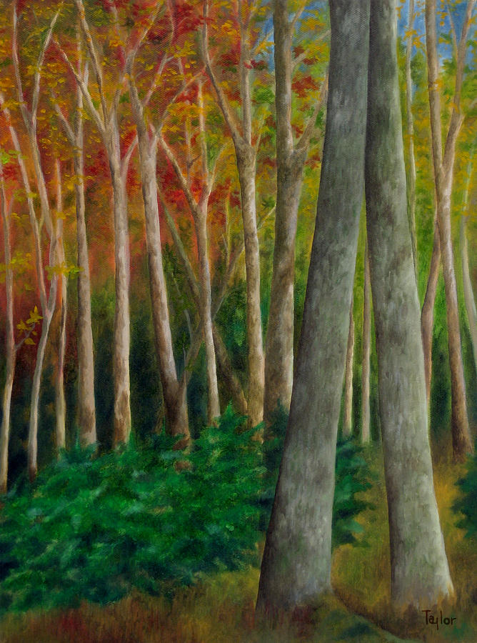 Autumn Contrast Painting by FT McKinstry