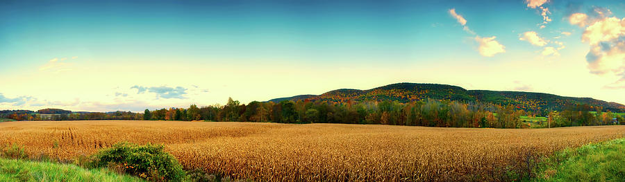 Autumn Cornfield In Ohio Photograph by Mountain Dreams
