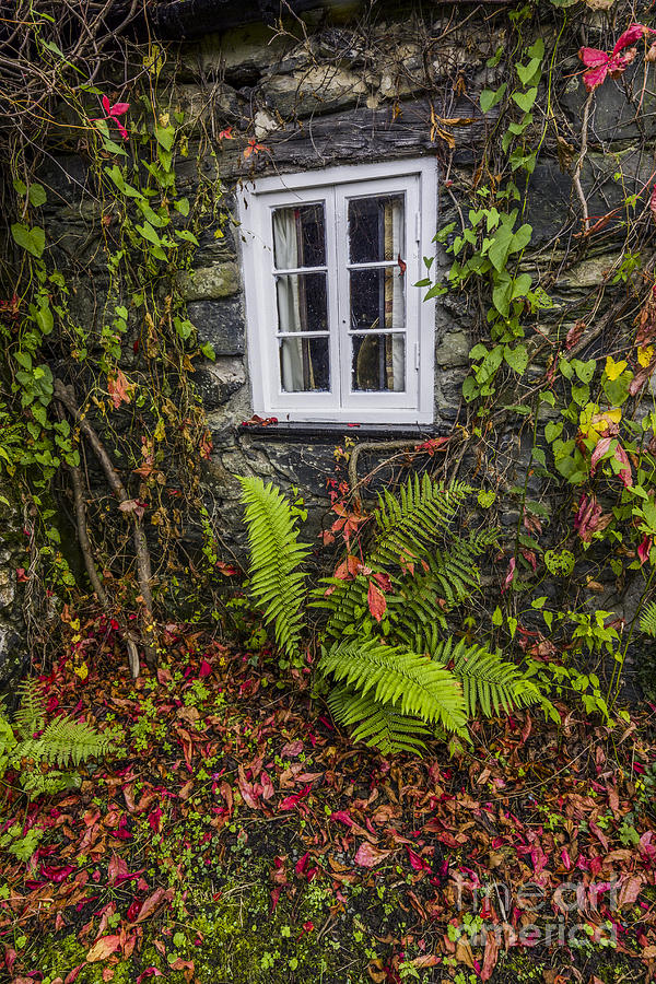 Autumn Cottage Window Photograph by Ian Mitchell