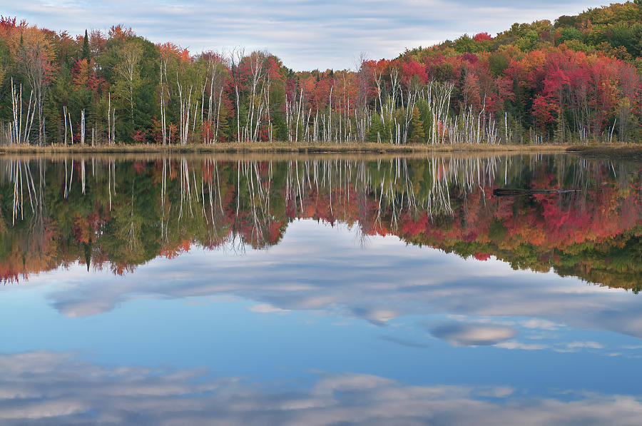 Autumn Council Lake Photograph