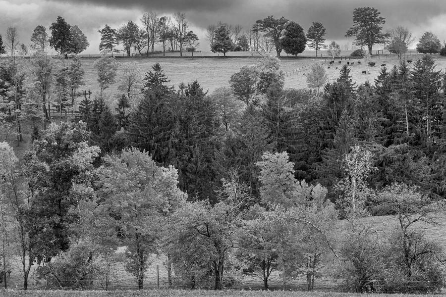 Autumn Country bw Photograph by Bill Wakeley
