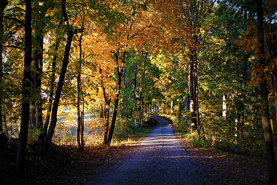Autumn Country Lane Photograph