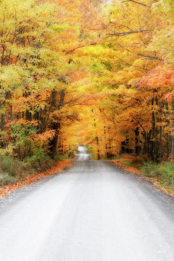 Autumn Country Road Photograph