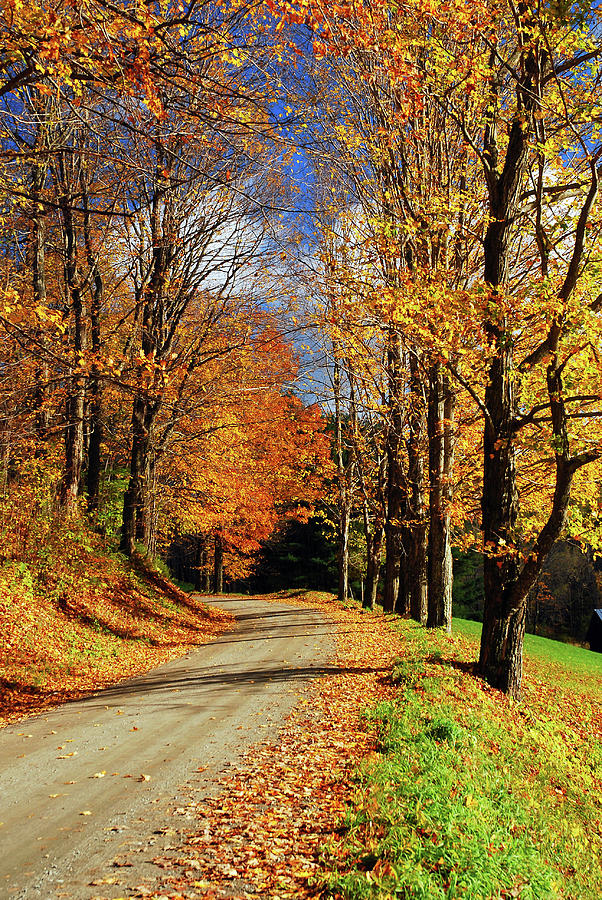 Autumn Country Road Photograph by James Kirkikis