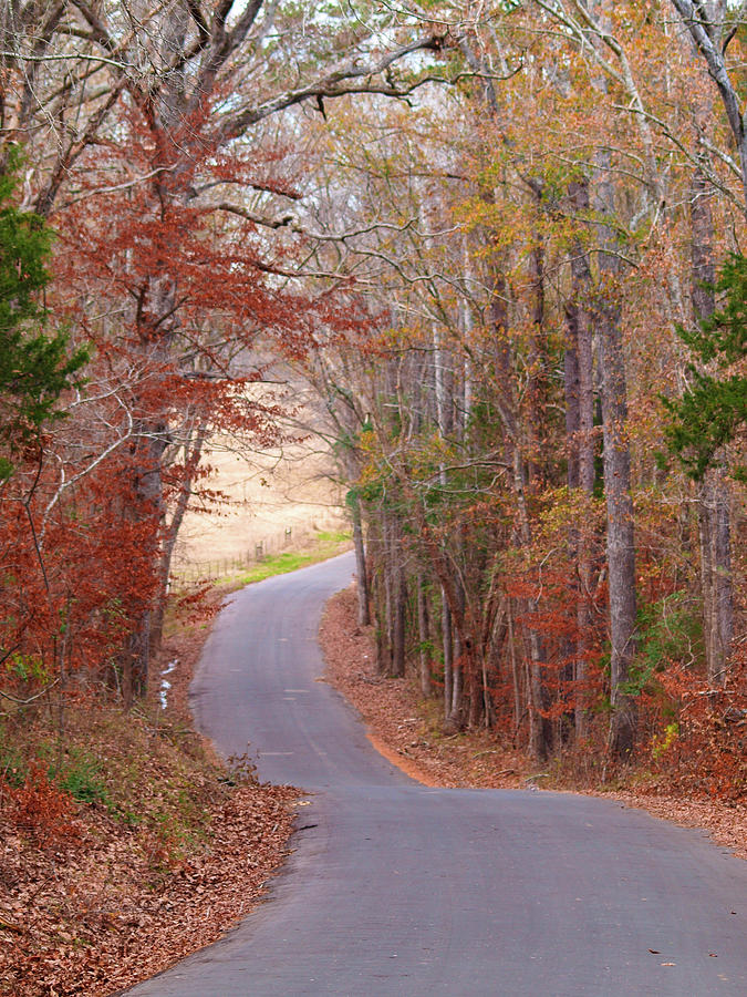 Tyler Photograph - Autumn Country Road by Lea Rhea Photography Tyler Photograph - Autumn Country Road by Lea Rhea Photography