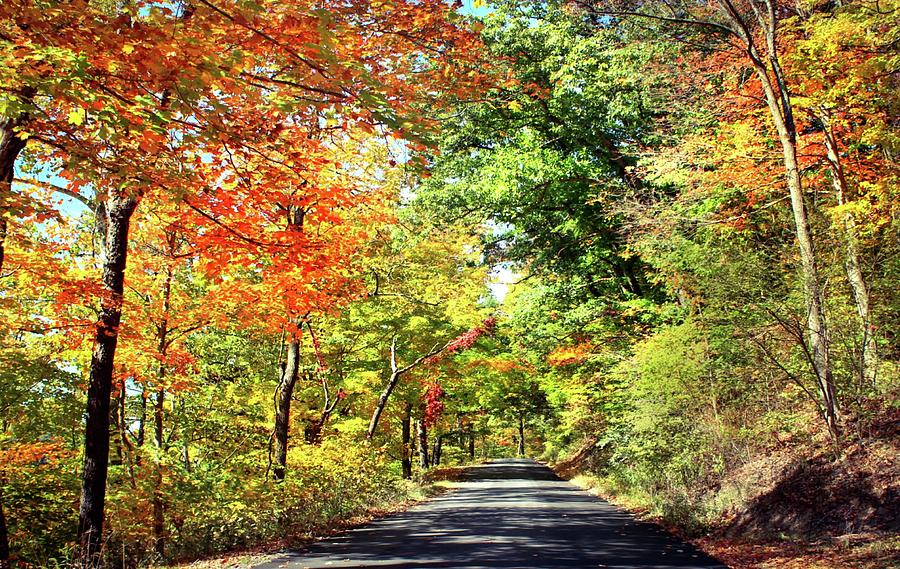 Autumn Country Road Photograph by Michael Forte - Fine Art America