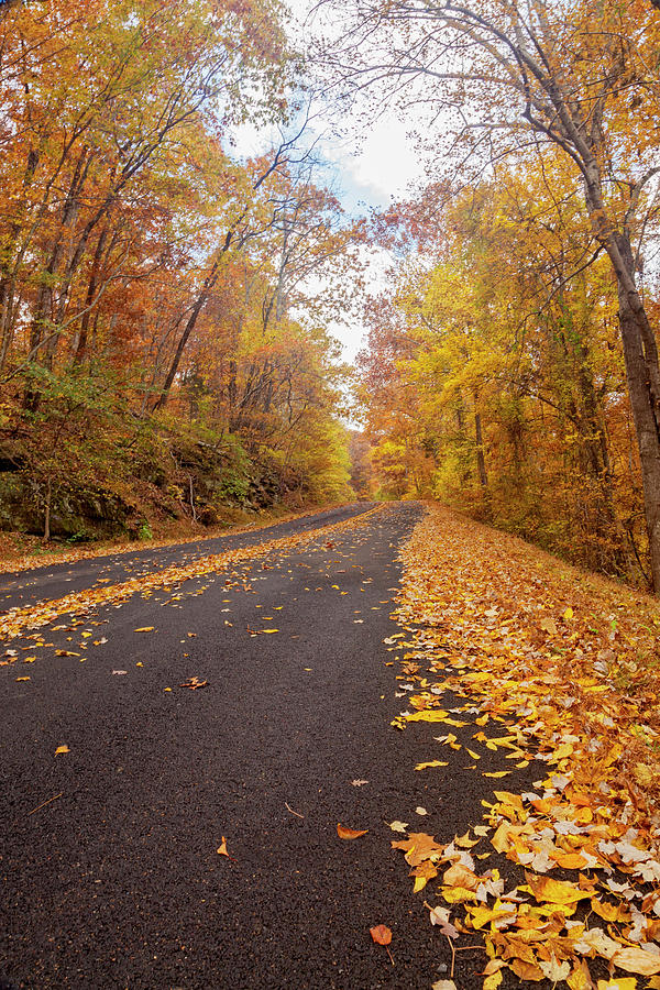 Autumn Country Road