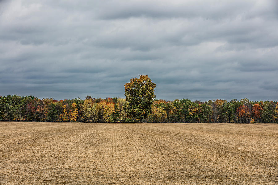 Autumn Countryside  Photograph by John McGraw