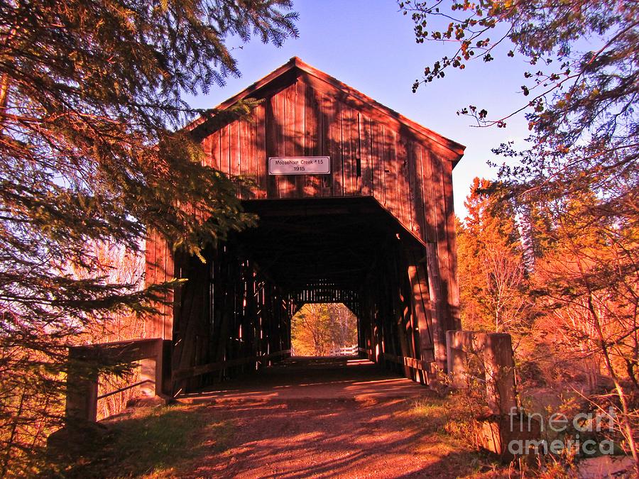 Fall Photograph - Autumn Covered Bridge by John Malone