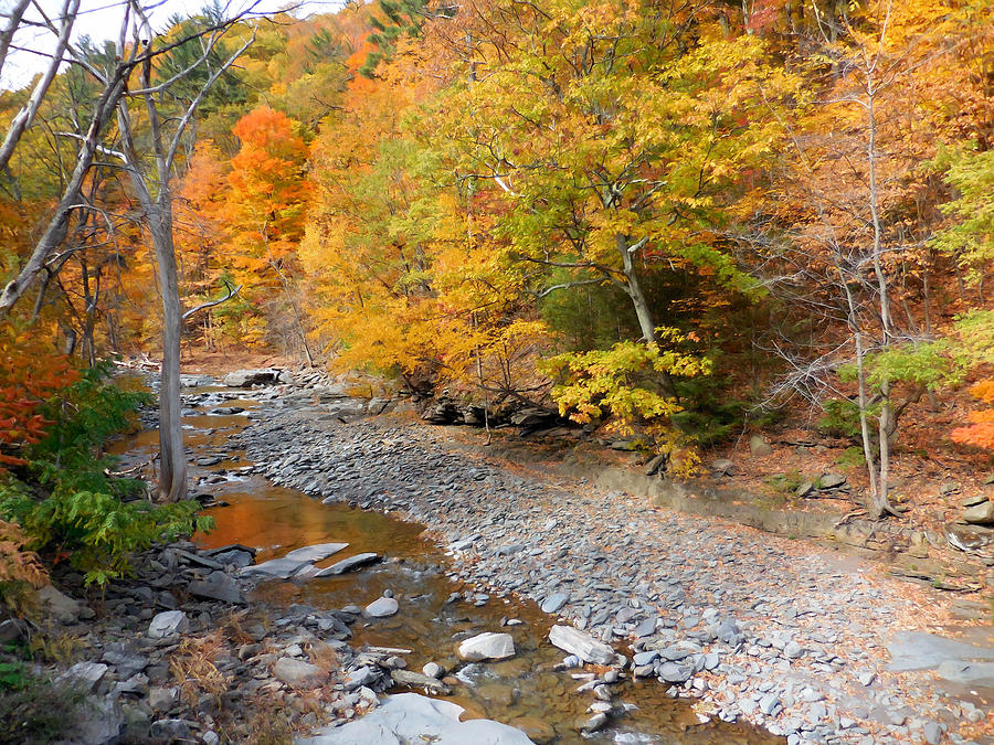 Autumn creek  1 Painting by Jeelan Clark