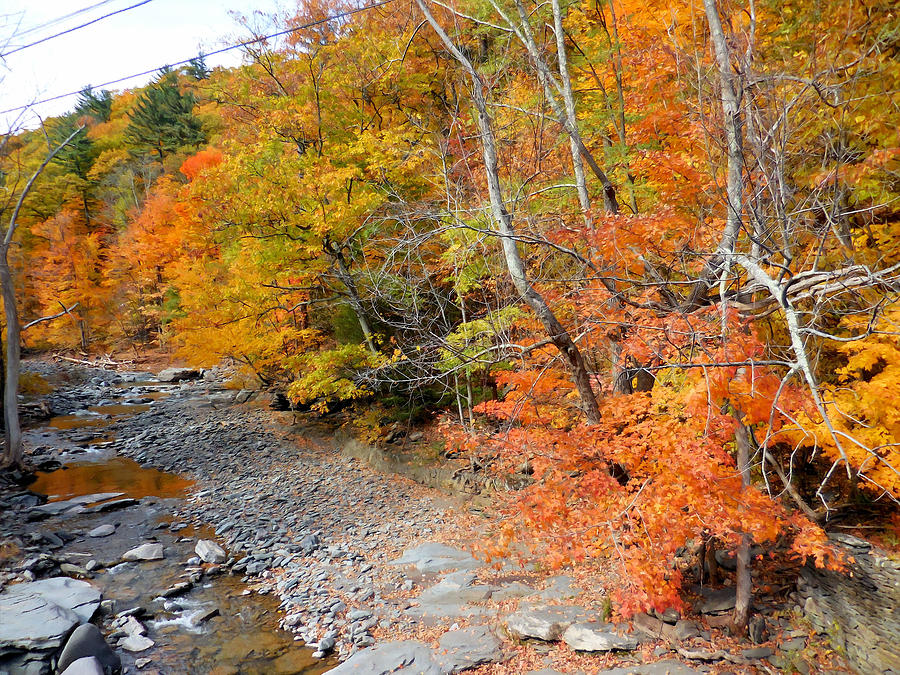 Fall Painting - Autumn creek 2 by Jeelan Clark