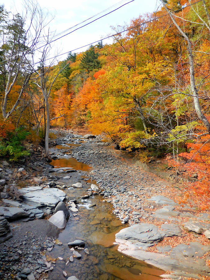 Fall Painting - Autumn creek 3 by Jeelan Clark