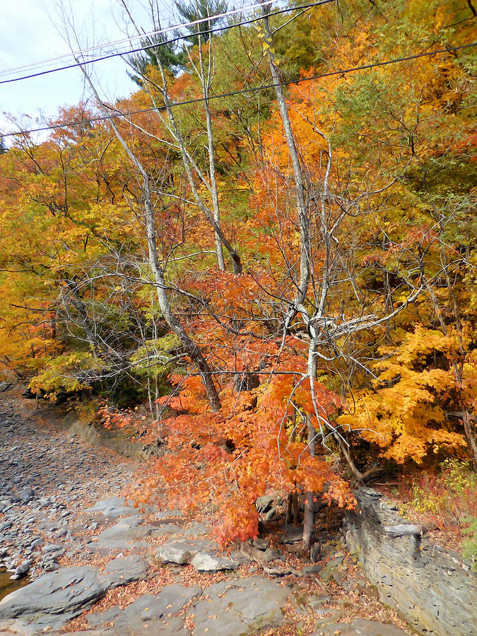 Autumn creek 4 Painting by Jeelan Clark