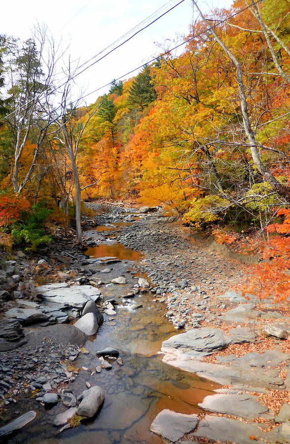 Autumn creek 5 Painting by Jeelan Clark