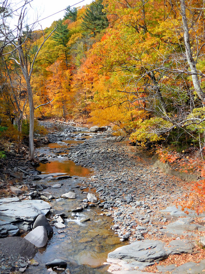 Autumn creek 6 Painting by Jeelan Clark