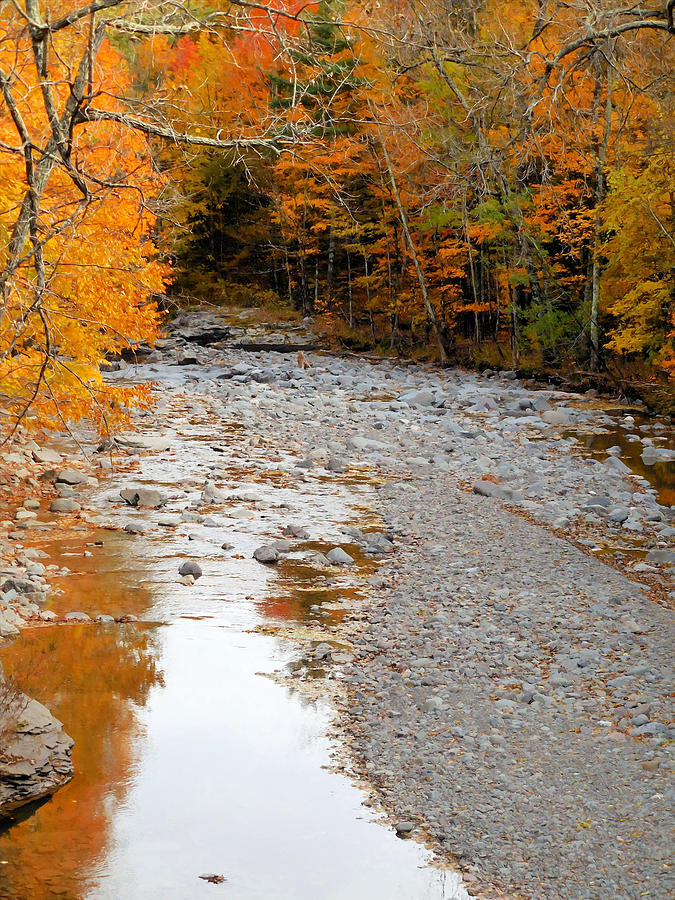 Autumn creek 9 Painting by Jeelan Clark
