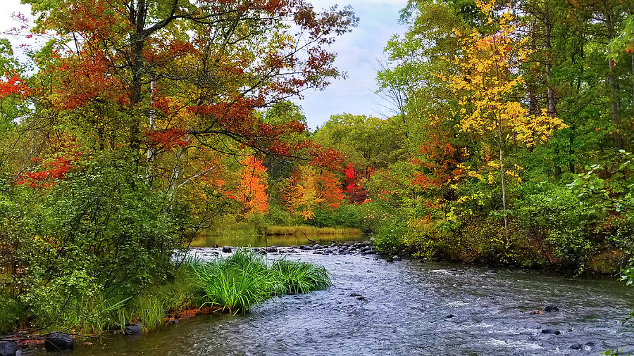 Autumn Creek Photograph by Brook Burling