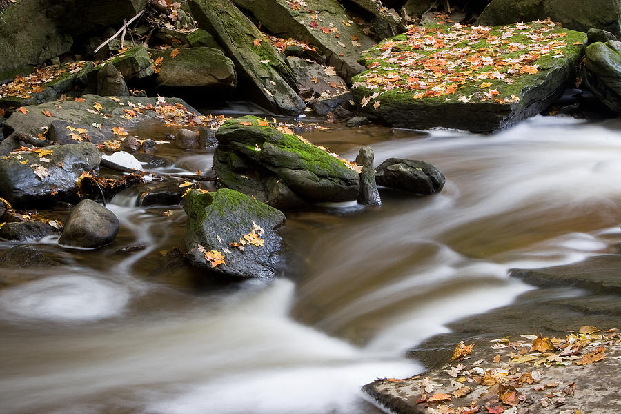 Fall Photograph - Autumn Creek by Carol Hathaway