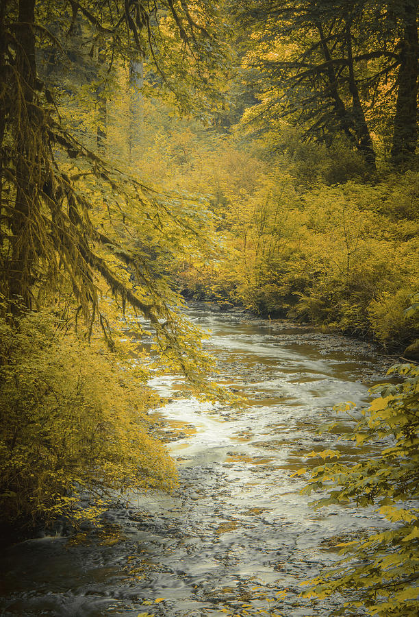 Autumn Creek Photograph by Don Schwartz