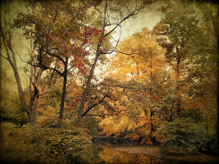 October Autumn Creek Photograph by Jessica Jenney