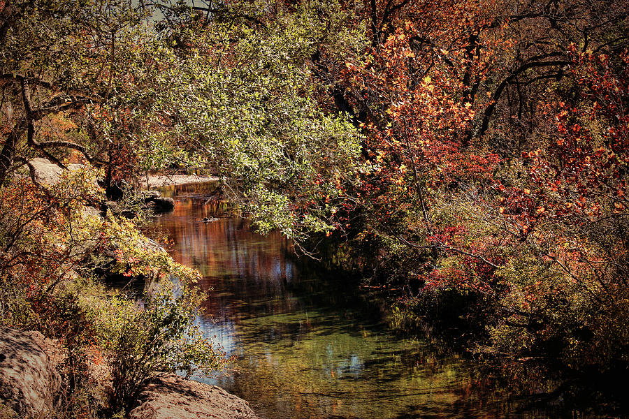 Autumn Creek Photograph by Judy Vincent