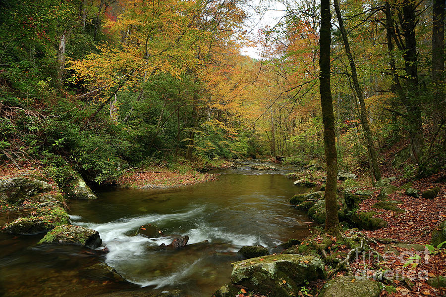 Creek Photograph - Autumn Creek by Rick Mann Creek Photograph - Autumn Creek by Rick Mann