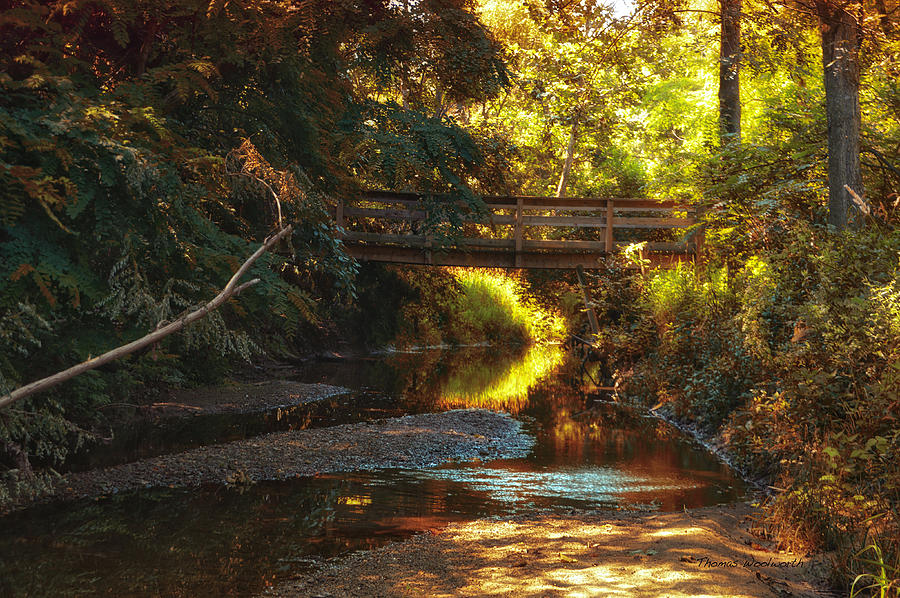 Autumn Creek Photograph by Thomas Woolworth