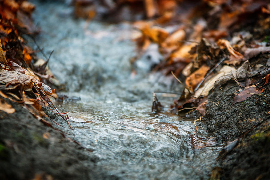 Autumn Creeklet Photograph by Chris Bordeleau