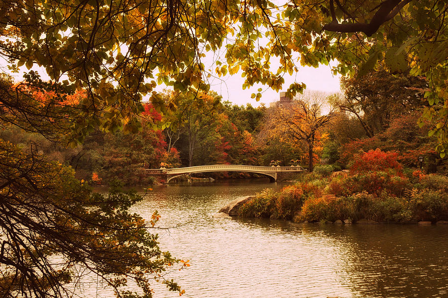 Autumn Crescendo at Bow Bridge Photograph by Jessica Jenney