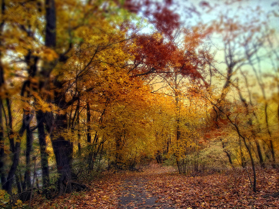 Fall Photograph - Autumn Crescendo by Jessica Jenney
