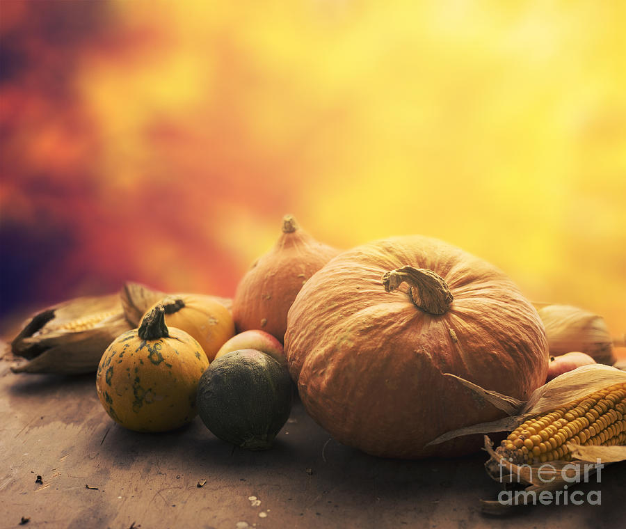 Autumn crops Photograph by Jelena Jovanovic