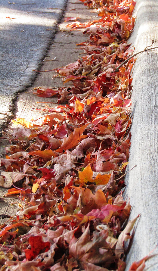 Autumn Curb Appeal 2 Photograph by Robert Knight