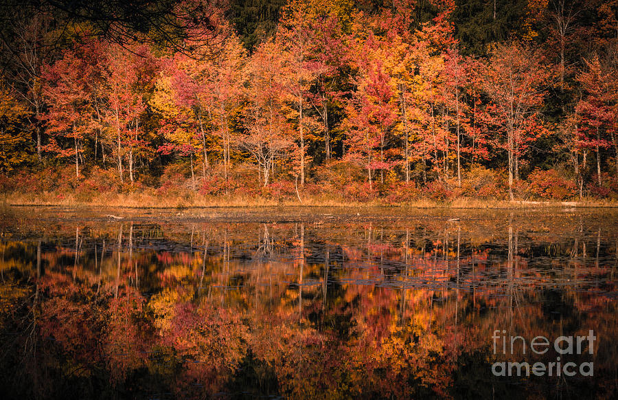 Mountain Photograph - Autumn by David Rucker