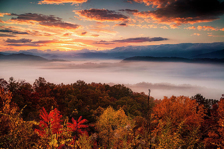 Autumn Dawn in the Smokies Photograph by Andrew Soundarajan