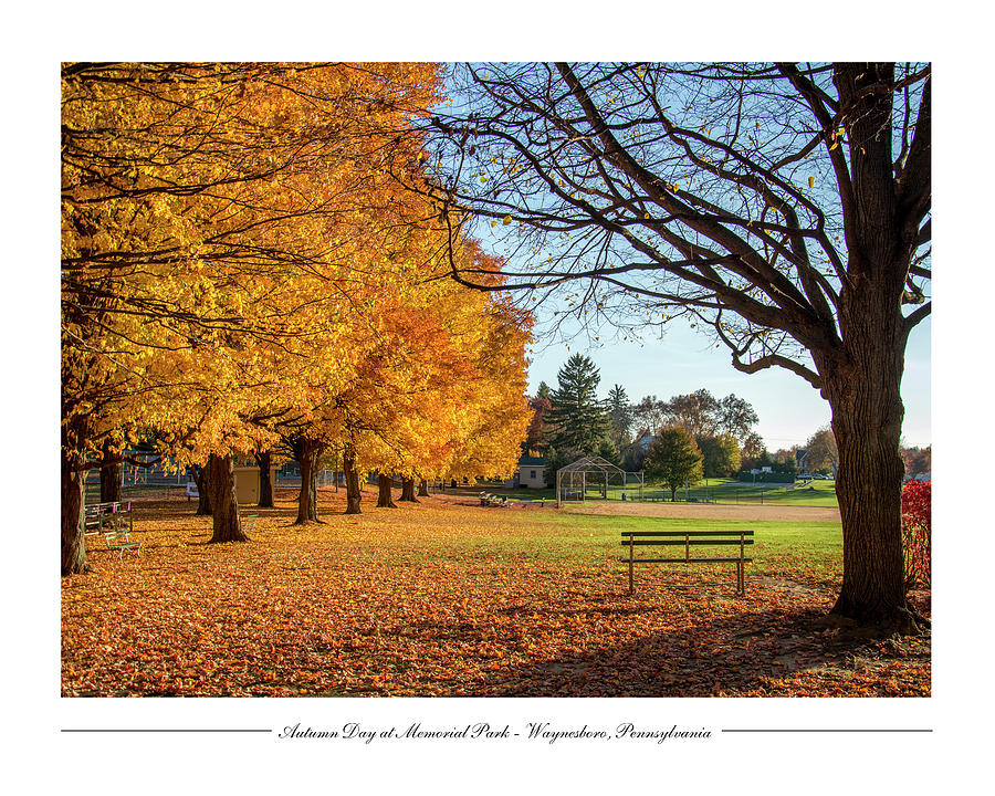 Autumn Day at Memorial Park Photograph by Andy Smetzer