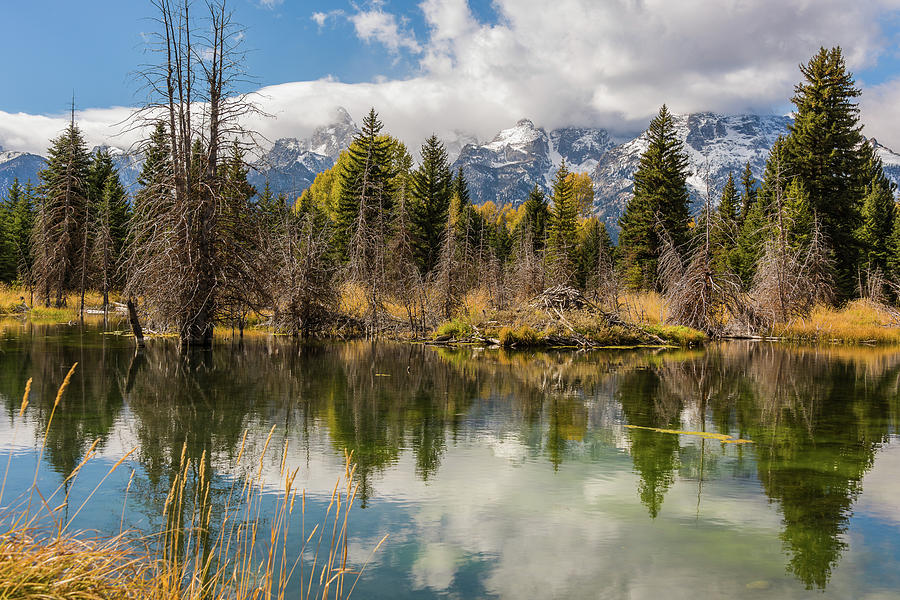 Autumn Day At Schwabachers Landing Photograph by Yeates Photography