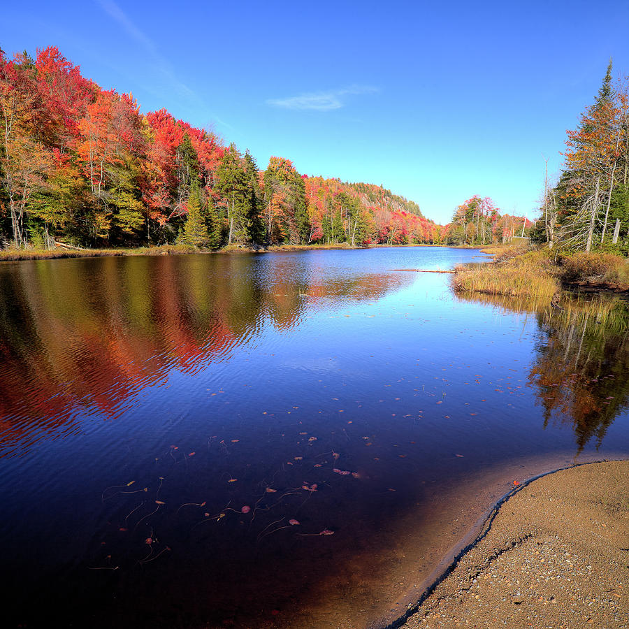 Autumn Day at the Pond Photograph by David Patterson