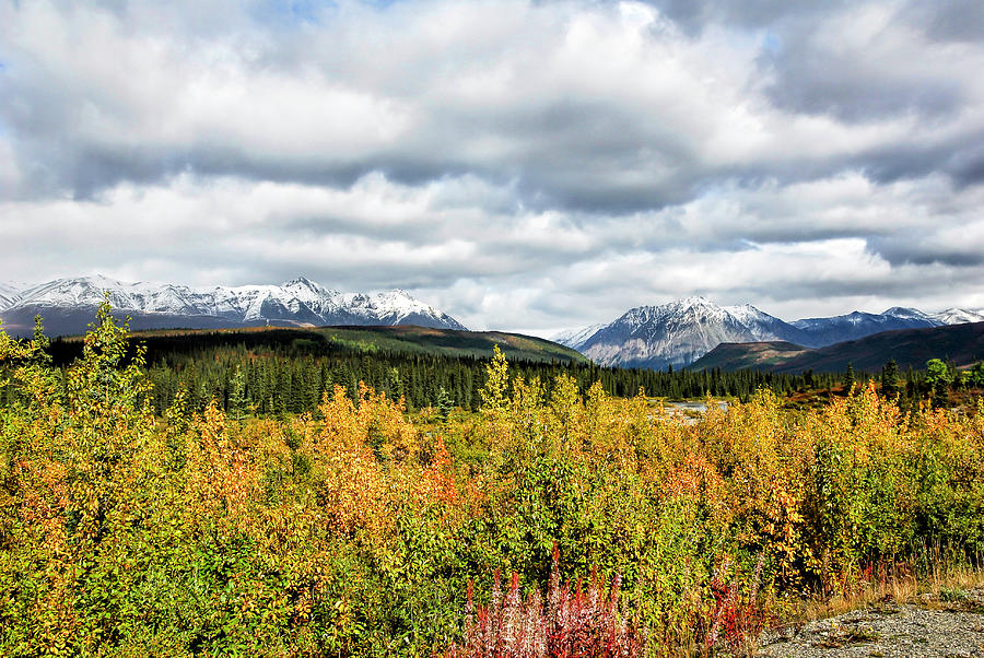 Mountain Photograph - Autumn Day in Alaska by Phyllis Taylor