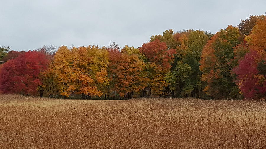 Autumn Day in the country Photograph by Kimberly Peoples - Fine Art America