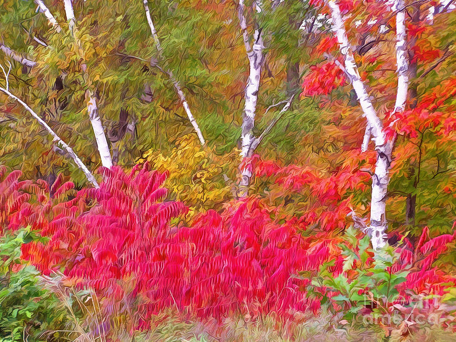 Autumn Decor Photograph by Carol Randall