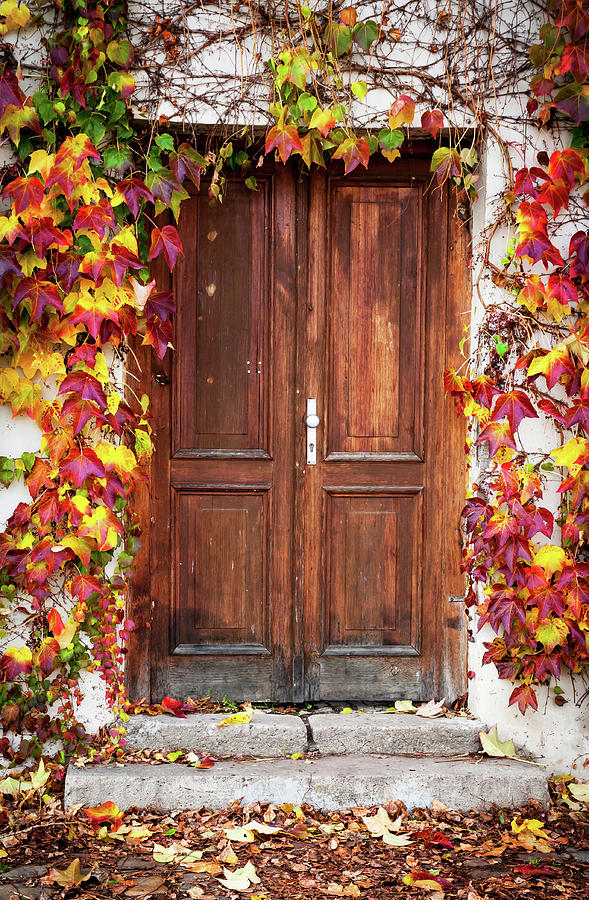 Autumn Decoration for Wooden Doorway. Prague Photograph by Jenny Rainbow