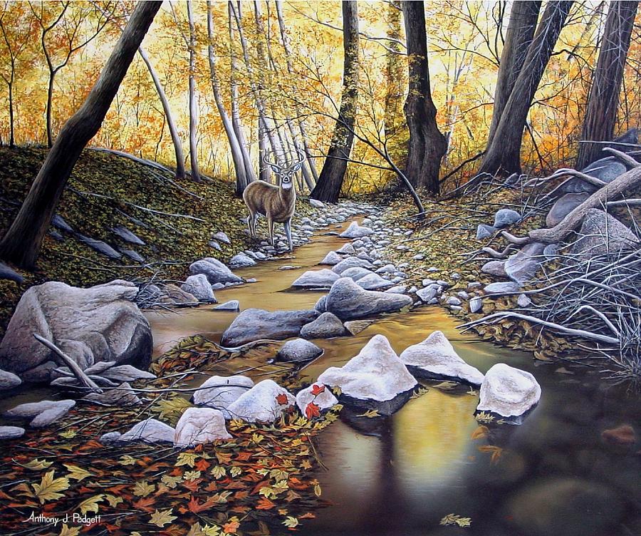 Autumn Deer Painting by Anthony J Padgett