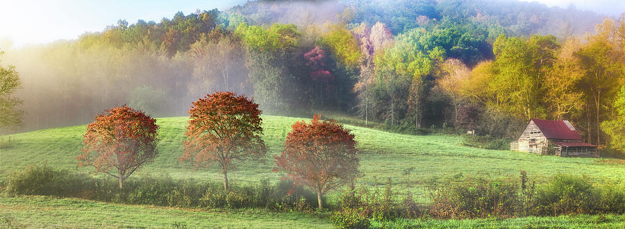 Autumn Dogwoods Panorama Photograph by Debra and Dave Vanderlaan