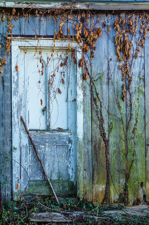 Autumn Door Photograph by Steven Bateson