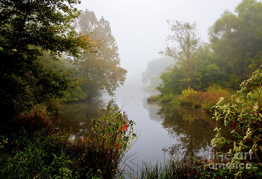 Autumn Dream Photograph by Douglas Stucky